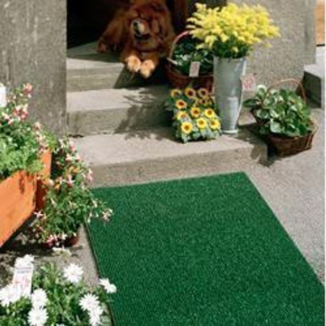 Huvudbild Entrématta Astro Turf HP | Två färger